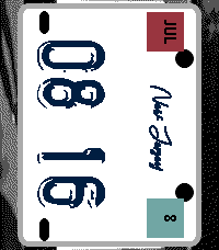 License Plate