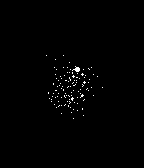 Fireflies