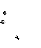 Appy Bird