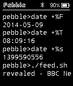 Pebble Term Watch