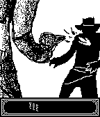 A Micro Western