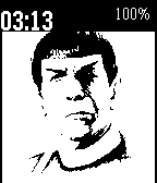 Another Spock