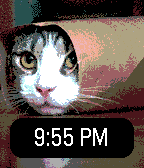 Purrbble