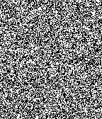 Noise