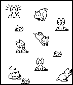 Neko