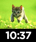 imageWatch999