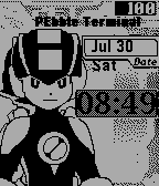 Megaman PET
