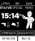 Pipboy