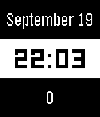 DayDateSteps