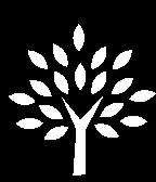 Tree Hide