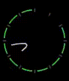 Bezier