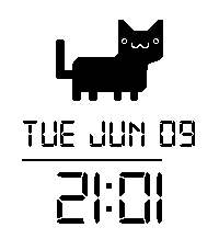 Fergus The Time Cat