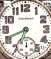 Waltham Field Watch