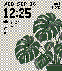 Monstera