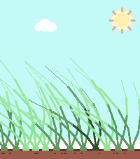 Touch Grass
