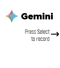 Gemini Voice & Text